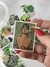 Imagem do Pack com 50 Adesivos Cannabis