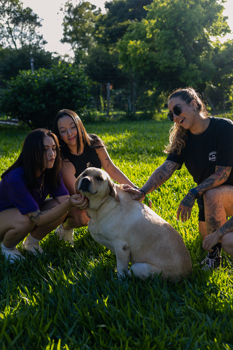 Banner da categoria FEMININAS 