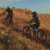 Imagem do Bike Tow Nomad Corda Elástico C/ Quick Release Bike Mtb