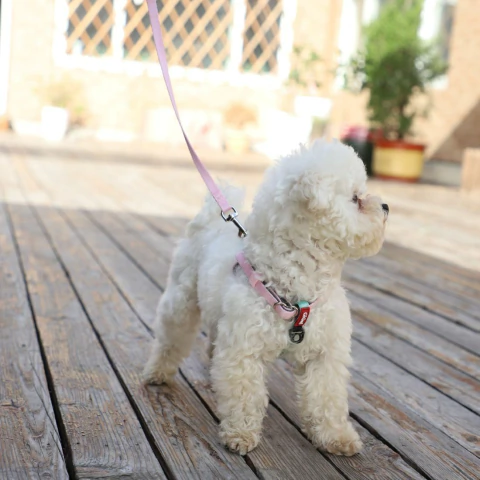 Arnés Rose Premium - comprar online