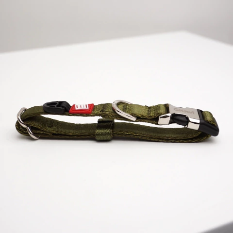 Collar Olive Premium