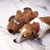 Dog Anti Anxiety en internet