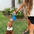Dog Bowling en internet