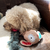 Doggy Friendz - comprar online