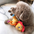 Lion Show en internet