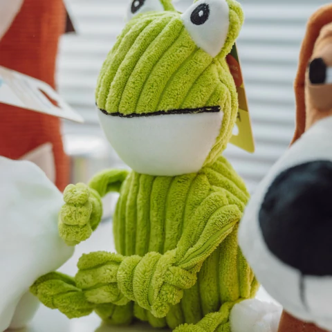 Ranita Texturada - comprar online