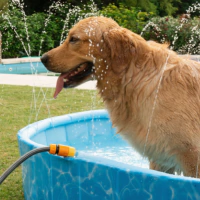 LA EXPERIENCIA DE COMPRA DE MELI