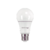 Lâmpada 9W E27 Bulbo 6500K Luz Branca - Tramontina