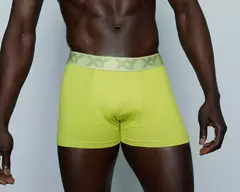BOXER XY LISO VERDE LIMA - comprar online