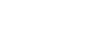 Raid Visuals