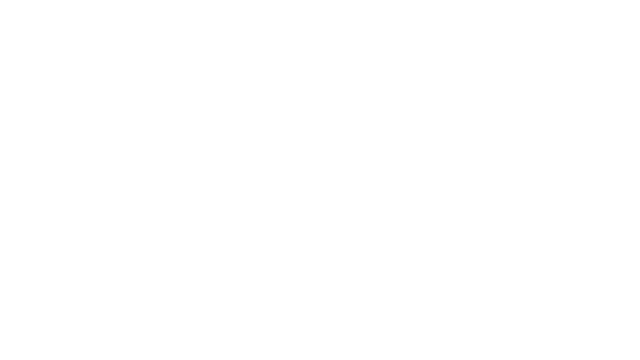 Raid Visuals