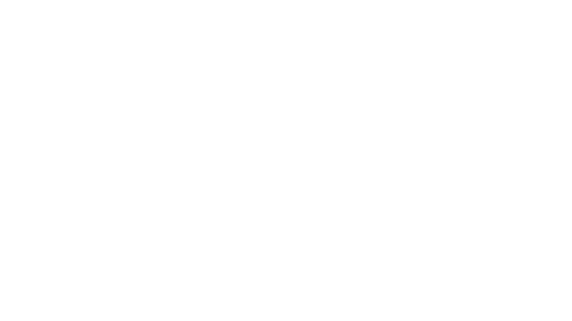Raid Visuals