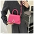 Cartera Mujer Mini Bag Rigida Rectangular Detalle Plateado
