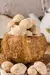 Biscoito Tentação de Coco 200g - comprar online