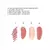 Charlotte Tilbury Pillow Talk Beautifying Lip & Cheek Secrets Set