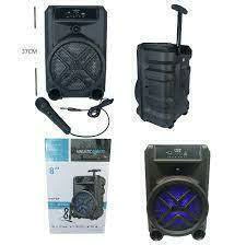 PARLANTE GREATNICE 8" GTS-1630 / BT / SD / USB / FM / CON MICROFONO