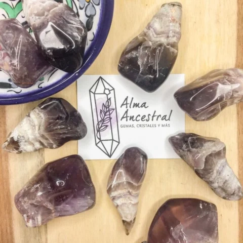 AMATISTA PUNTA DE FLECHA