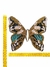 Aplique Chico Mariposa Negra - comprar online