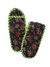 Estuche Simple - Diseño 14 - comprar online