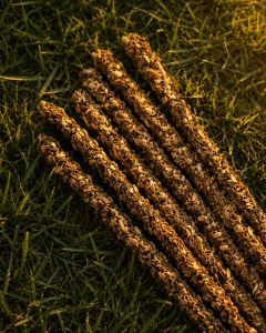 Sahumerio Coronados de Gloria Palo Santo en internet