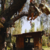 BASILICA + XOCHIMILCO + ISLA DE LAS MUÑECAS - comprar en línea