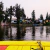 BASILICA + XOCHIMILCO + ISLA DE LAS MUÑECAS - A tu Alcance tours
