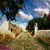 MINERAL DE POZOS + CAMPOS DE LAVANDA en internet
