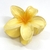 Piranha Grande de Acrílico Flor - 11 Cores - comprar online