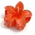 Piranha Grande de Acrílico Flor - 11 Cores - Sol Bijoux - Loja de Acessórios Femininos para Atacado e Varejo