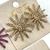 Brinco Ponteira Sol em Strass - 5 Cores - loja online