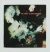 LP The Cure - Disintegration