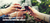 Banner de Vineria San Juan