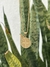 Medalha Infantil de São Bento - comprar online