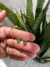 Brinco Pequeno em Forma de Estrela com Pedra Verde Esmeralda em Ródio Branco