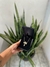 Colar Nuvem com Filho(a) e Nome Personalizado - comprar online