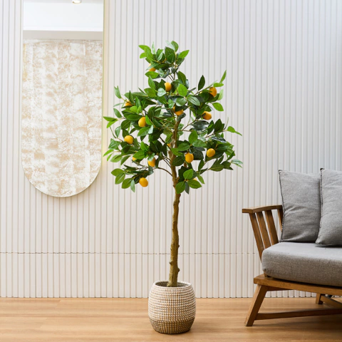 Lemon Tree - comprar online