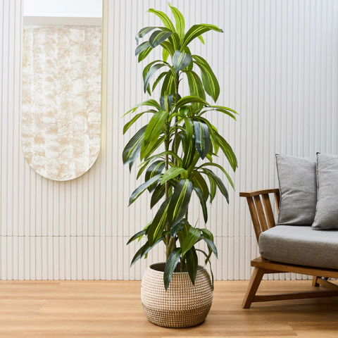 Palo De Agua 1,5 M - comprar online