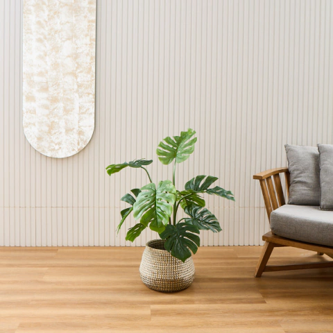 Monstera Ceriman 90 Cm