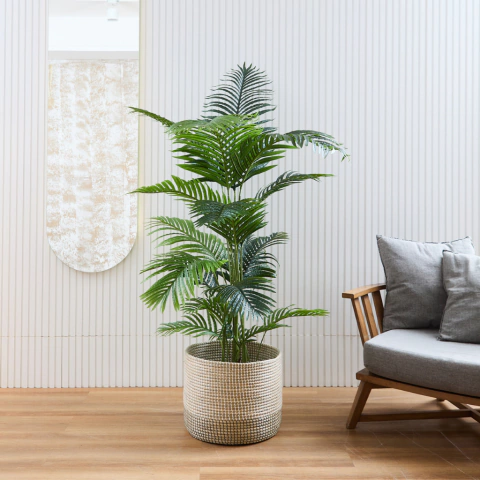 COMBO Areca 1,80 M + Alveare Big - comprar online