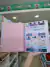 Cuaderno A4-punto cero-full-gatito - Librería Einstein