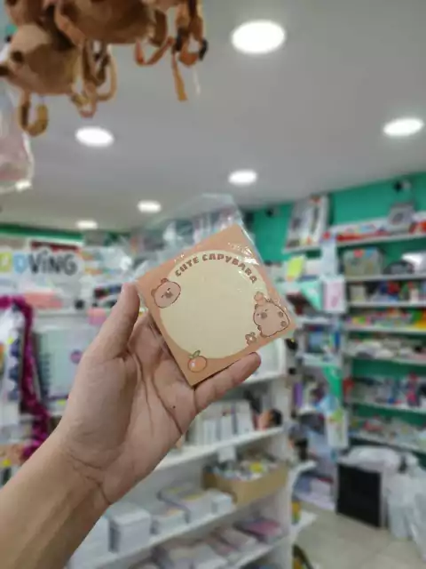 Notas adhesivas-capybara-naranjas