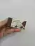 Goma de borrar-forma de chocolate-negro