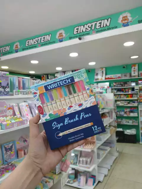 Marcadores sing brush pens- punta pincel mini-writech-x12