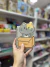 Imagen de Mini cuadernito silueta gatito - hoja rayada