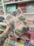 Carpeta A4 con elástico pvc IBI - con diseño plantas