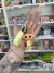 Llavero personaje Dobby de Harry Potter