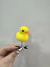 Patito viral