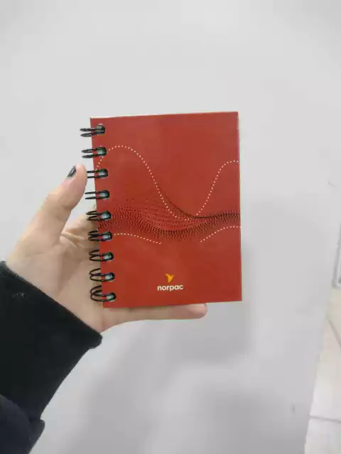 Cuaderno A6 Tapa Dura rayado-Alicia -Norpac - (copia)