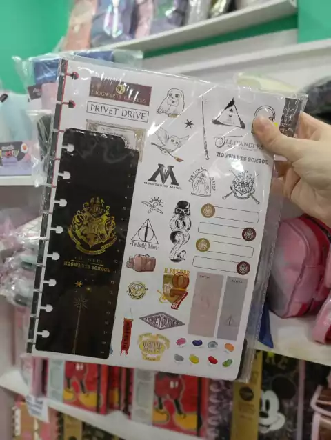 Repuestos de Hojas Tamaño Carta Harry Potter - Mooving