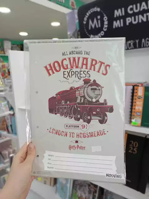 Separadores A4 Harry Potter Tren- Mooving